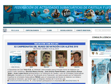 Tablet Screenshot of feclas.org